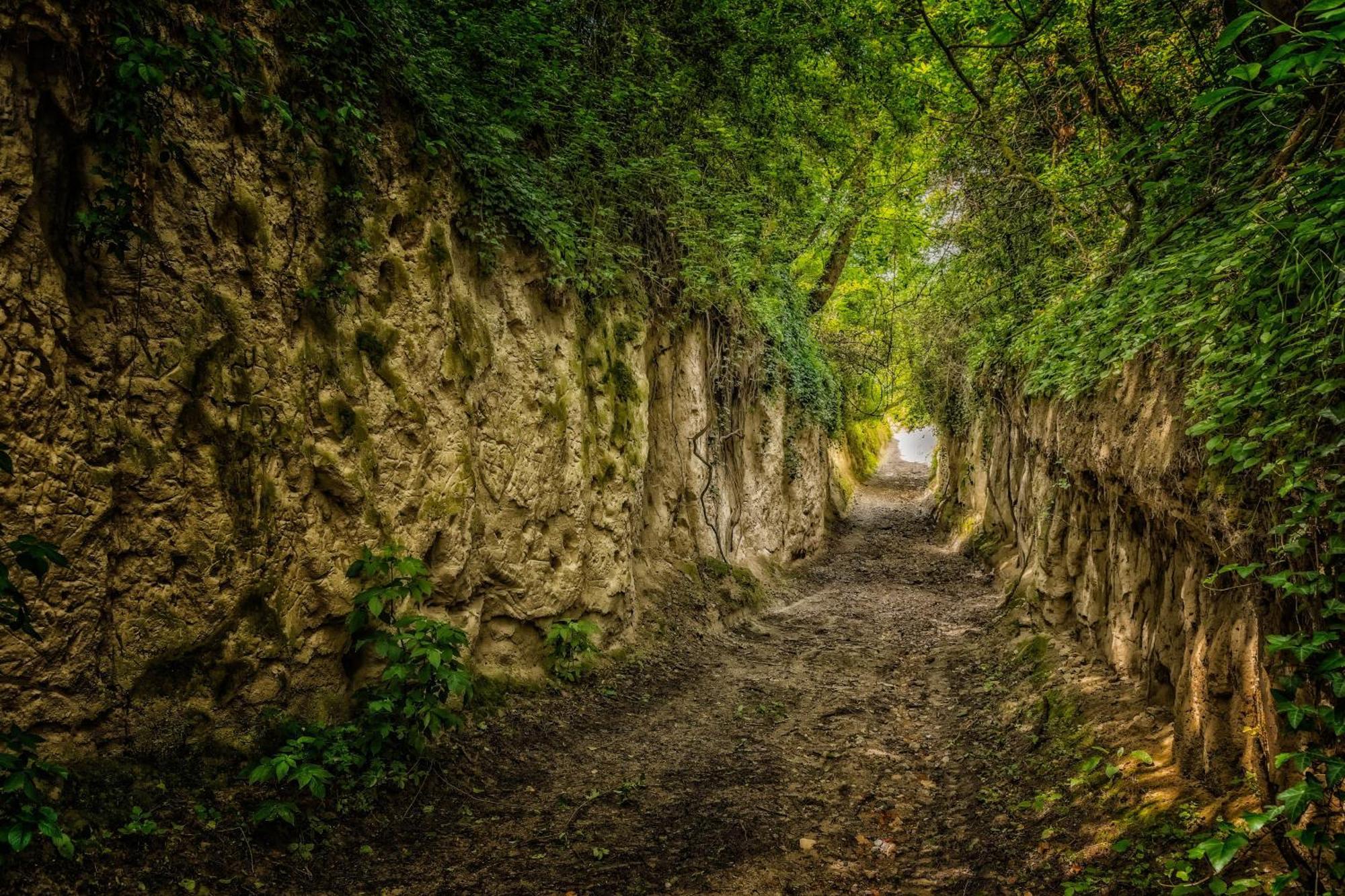 Wasenweiler Dreilaendereck Am Kaiserstuhl מראה חיצוני תמונה